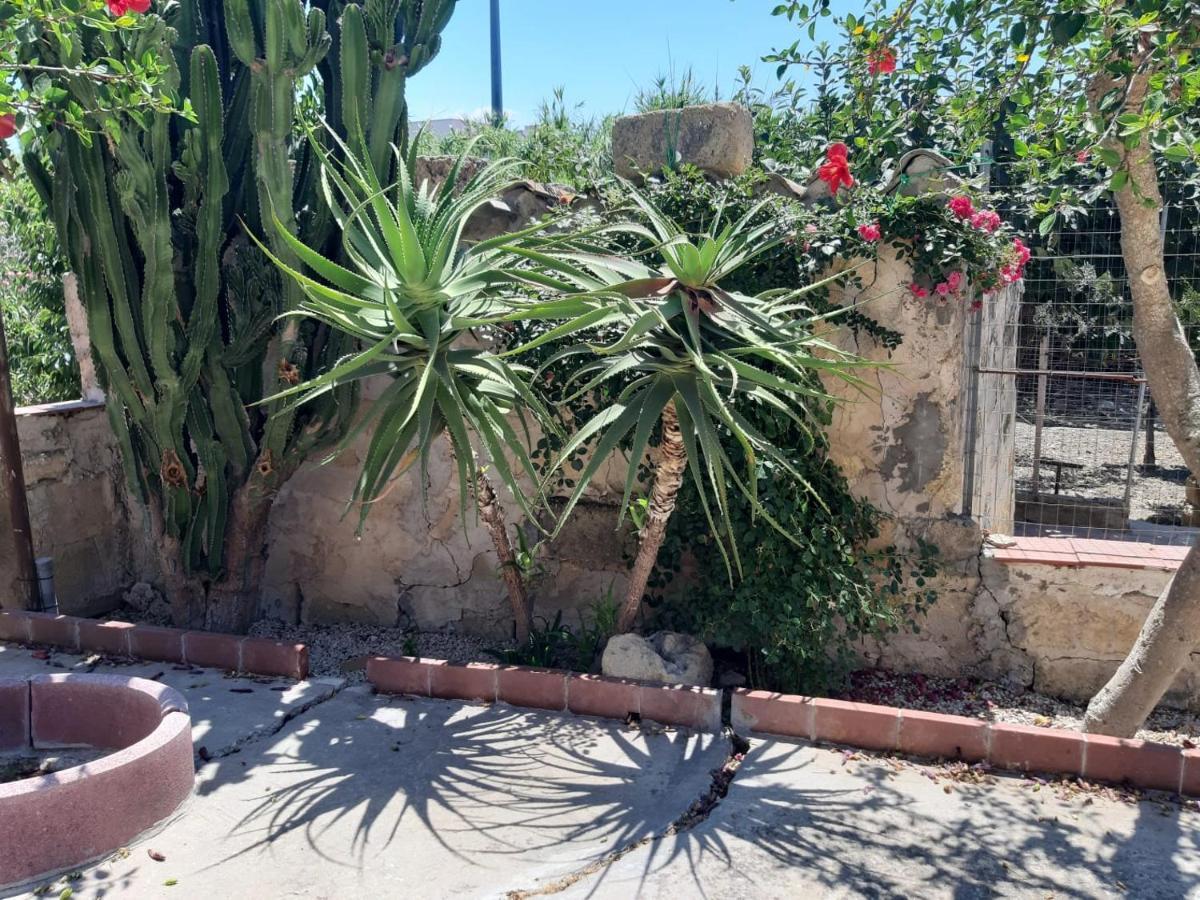 La Casa In Campagna Daire Chiesa Nuova  Dış mekan fotoğraf