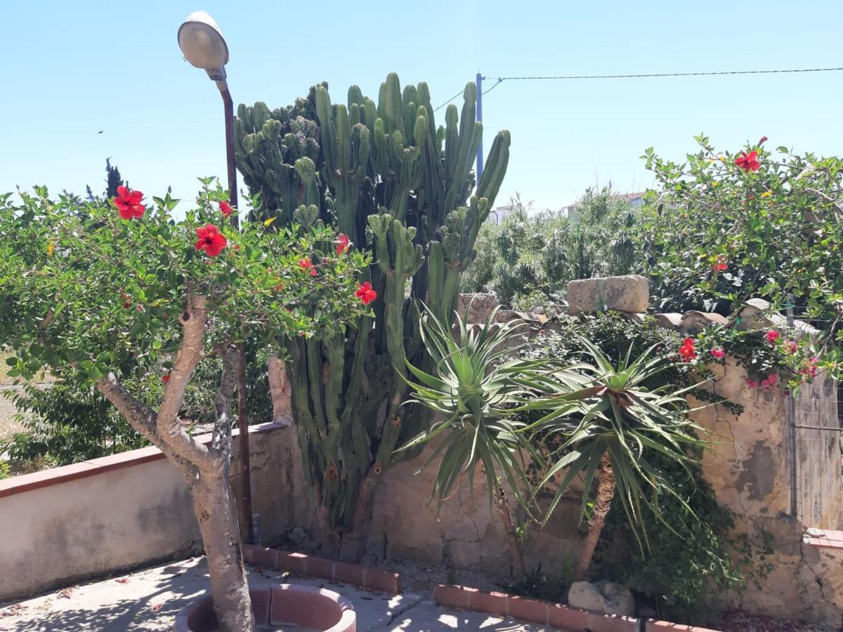 La Casa In Campagna Daire Chiesa Nuova  Dış mekan fotoğraf