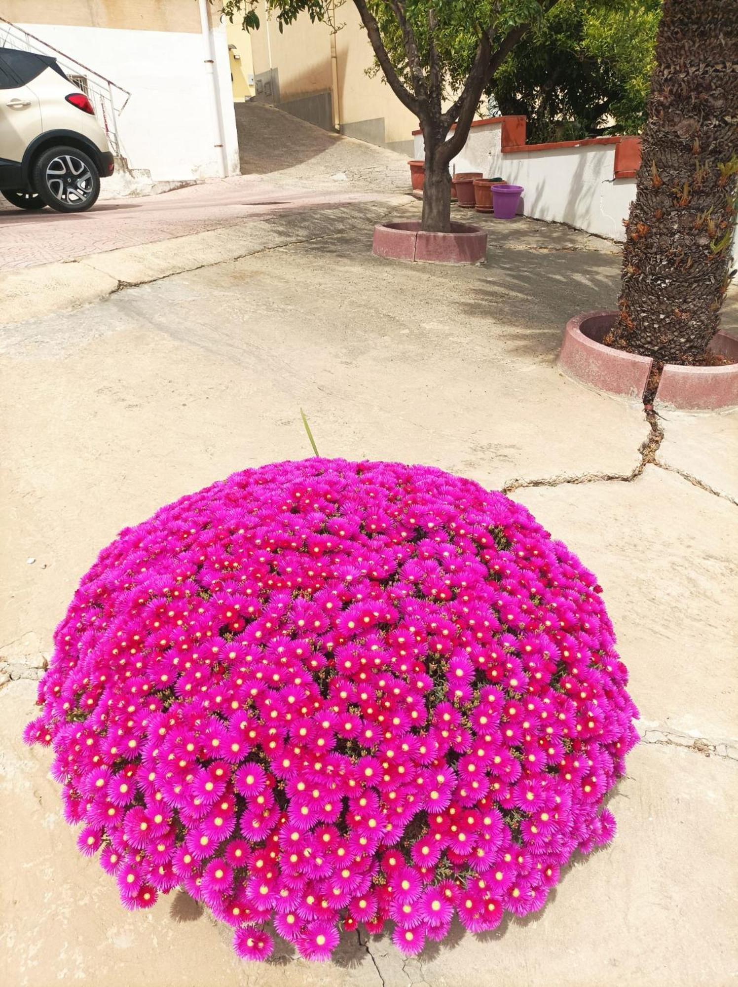 La Casa In Campagna Daire Chiesa Nuova  Dış mekan fotoğraf